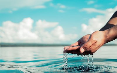 10 Effective Fundraising Ideas for Nonprofits