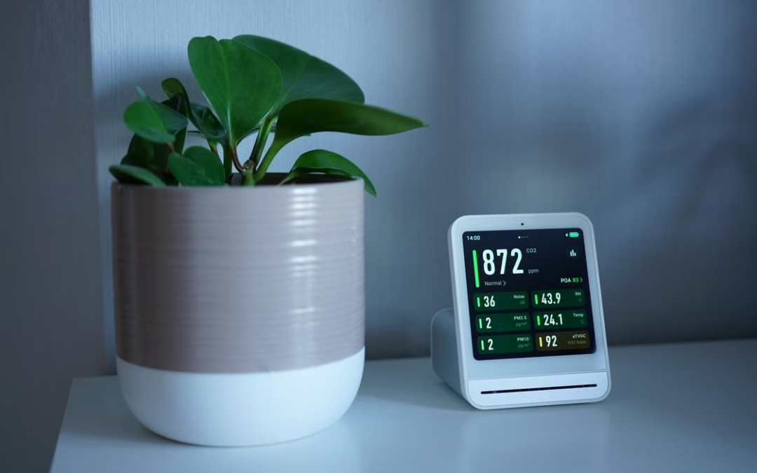 Easy Home Changes to Start Living More Sustainably Today